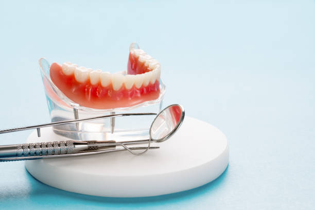 Palm Beach Gardens, FL  Holistic Dental Services Company